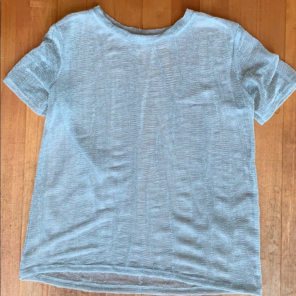 SOLD Zara Shimmery Sheer Top
